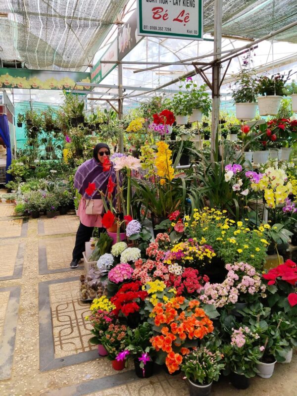 Vietnam Asia Holiday